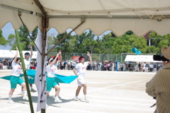 IMGP2546