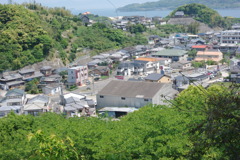 IMGP2488