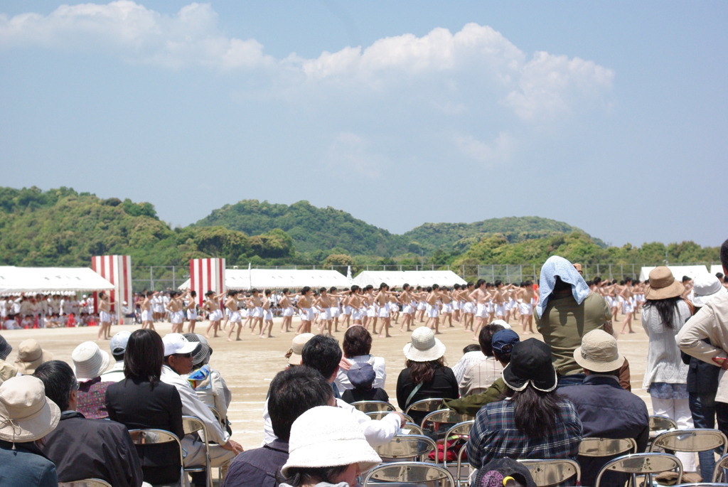 IMGP2541