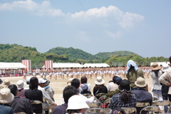 IMGP2541