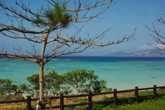 IMGP0300