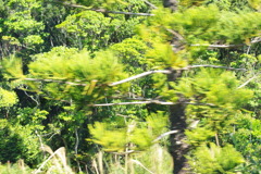 IMGP0315