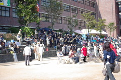 IMGP2425