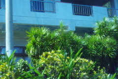IMGP0965