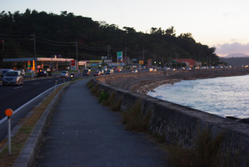 IMGP0719