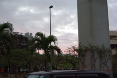 IMGP1115