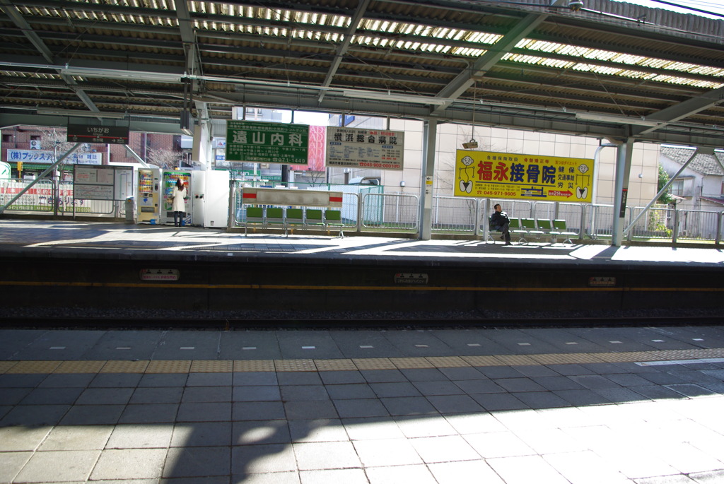 IMGP3174