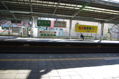 IMGP3174