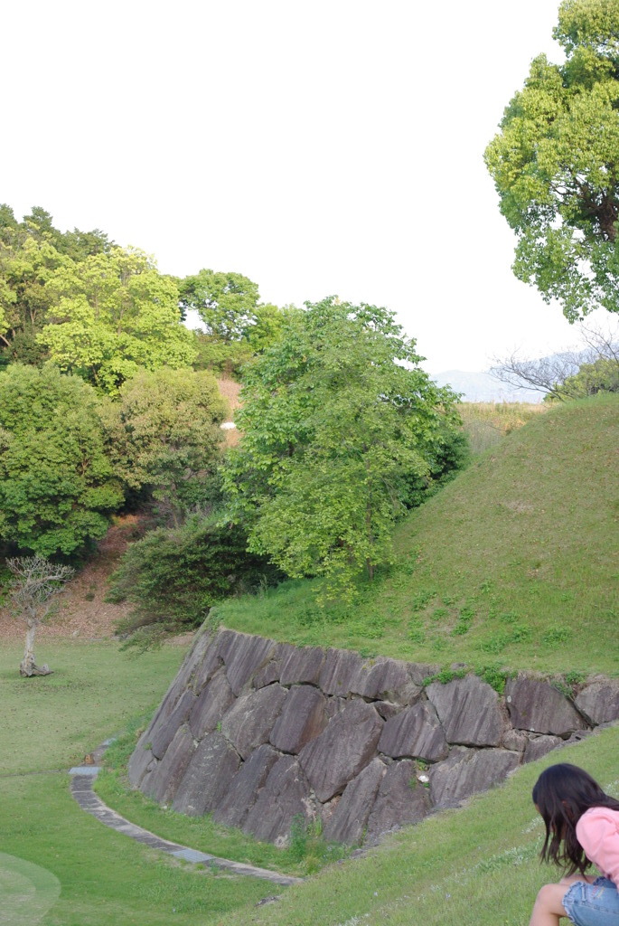 IMGP2580