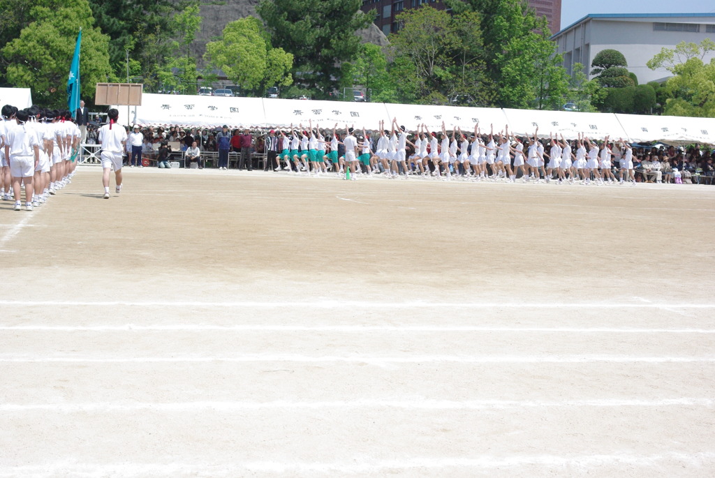 IMGP2552