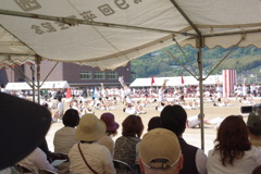 IMGP2466
