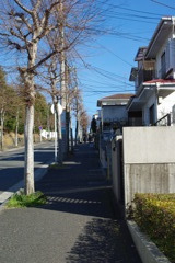 IMGP3199