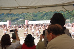 IMGP2469