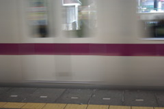 IMGP3173