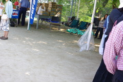 IMGP2450