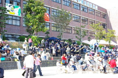 IMGP2424