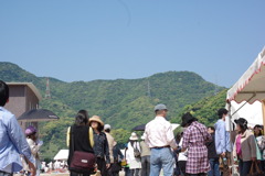 IMGP2470
