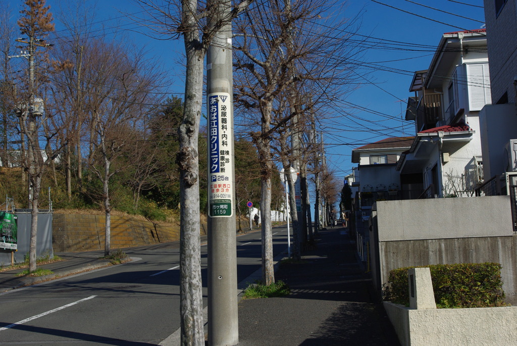 IMGP3198