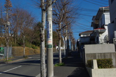 IMGP3198