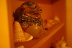 IMGP1137