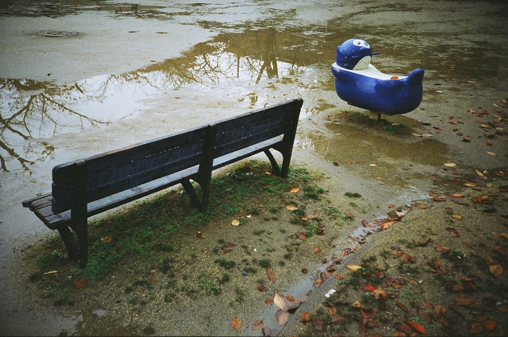 Rainy Park #5