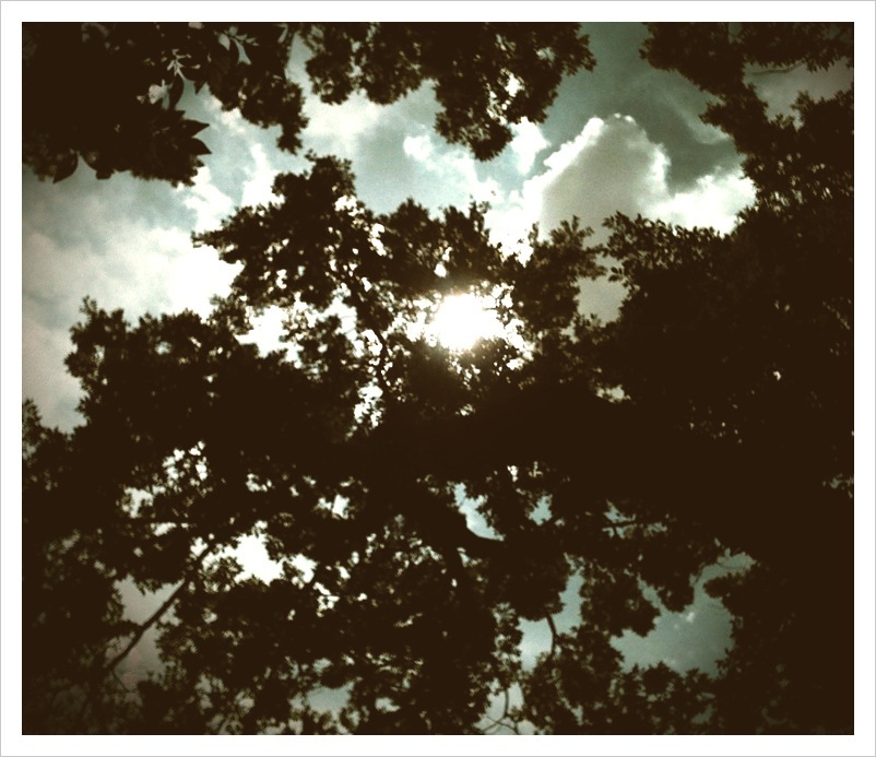 Look up