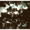 Look up