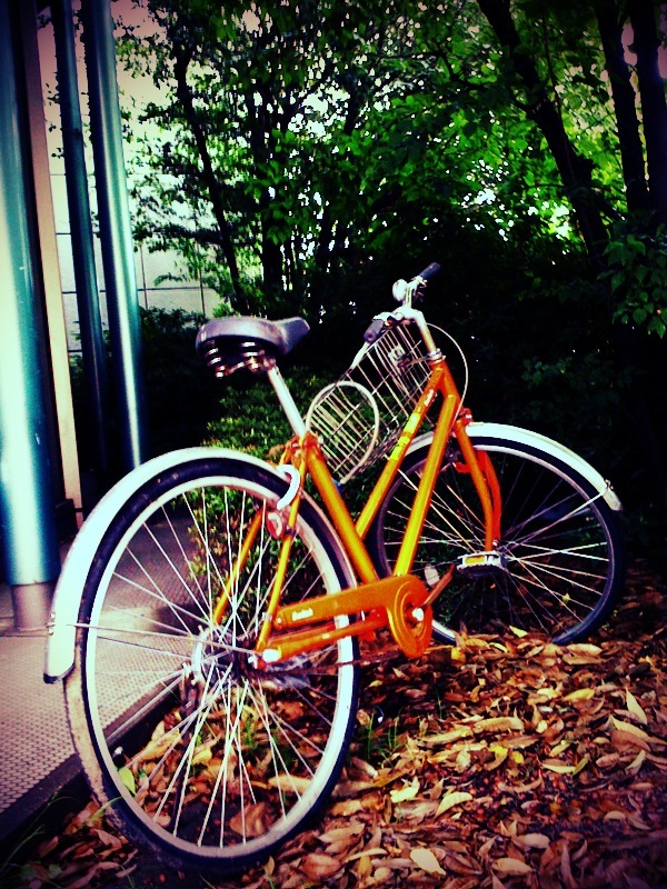 Abandoned bicycle