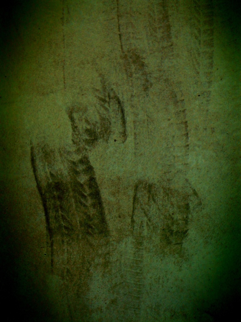 Tire Marks