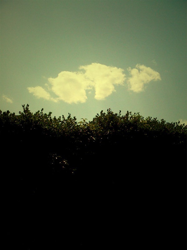 May Cloud