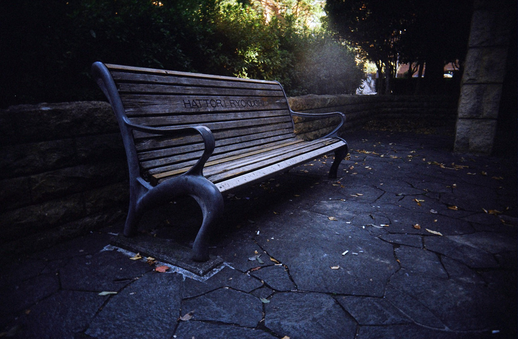Shady Place #2