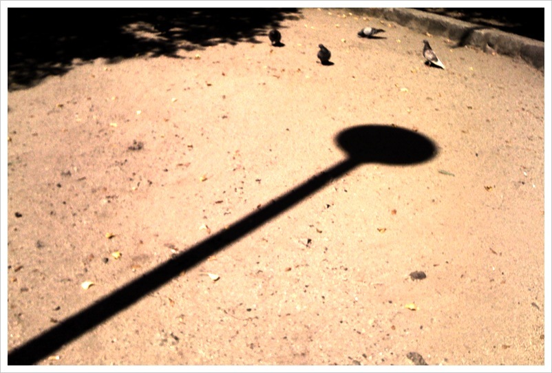In The Park #5