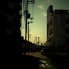 Shadowlight