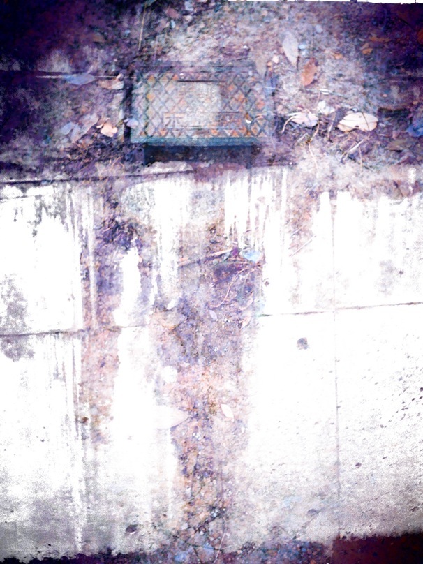 Multiple Exposure Study #5