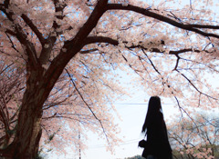 Sakura with You