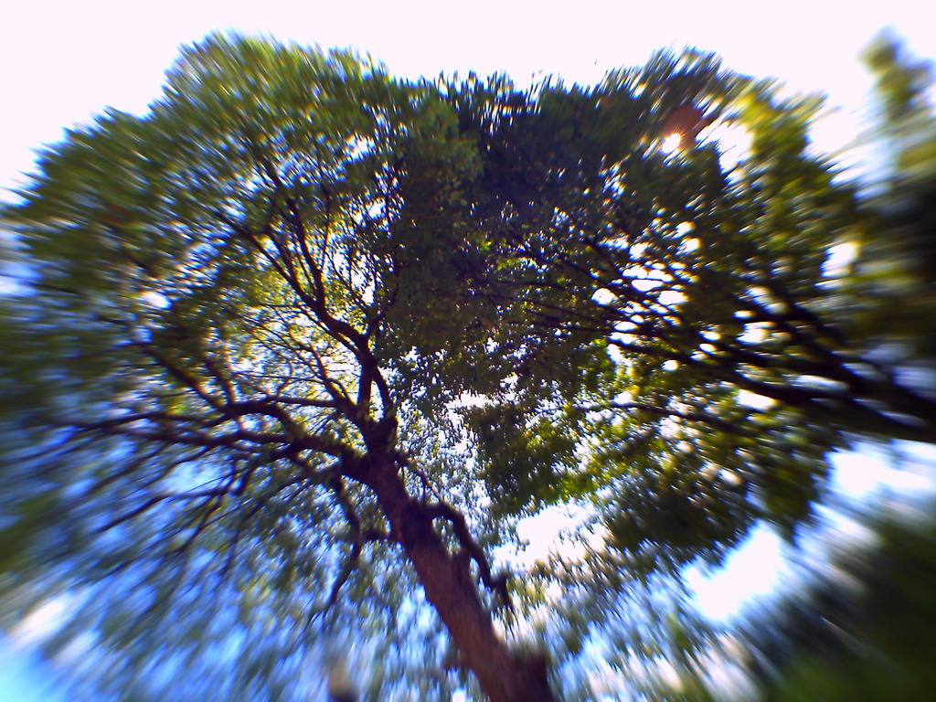 5050 Fisheye Style #2