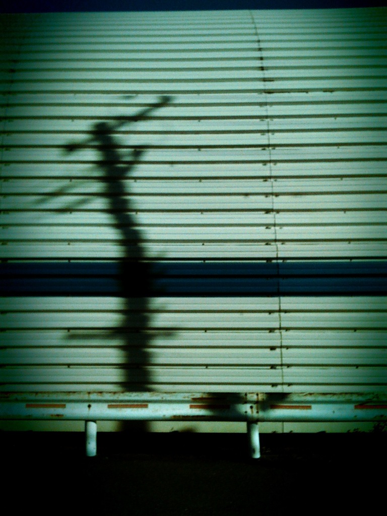 Negligent Shadow