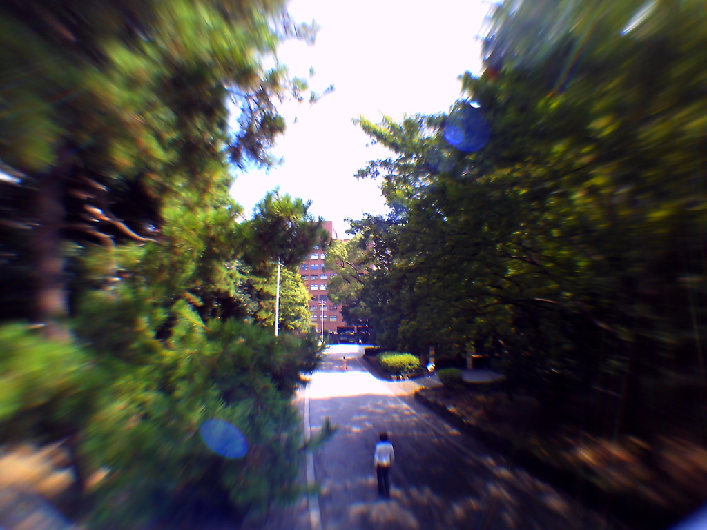 5050 Fisheye Style #5