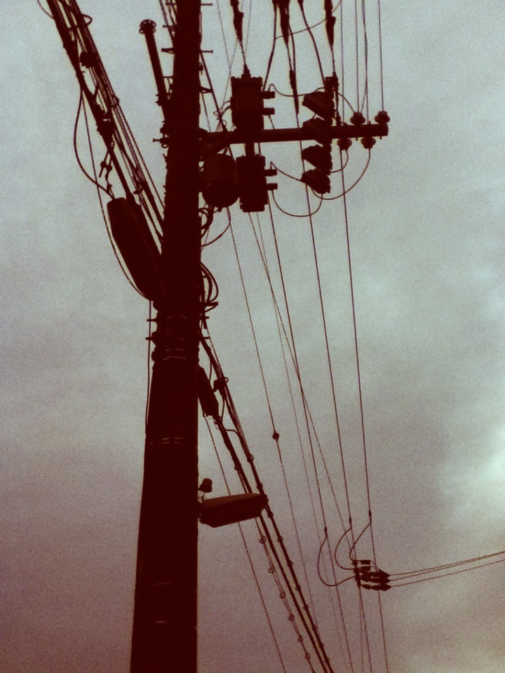 Upright Silhouette