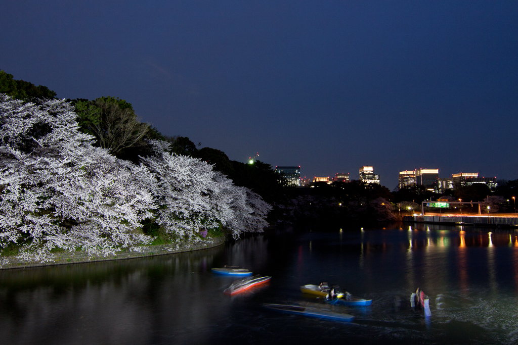 夜桜とボート