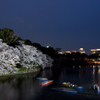 夜桜とボート