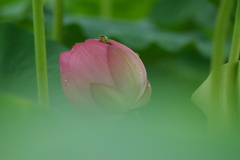 一息