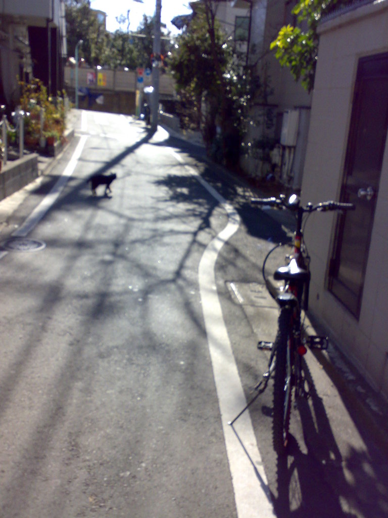道端で(2)