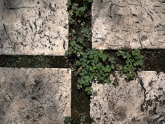 StreetCorner