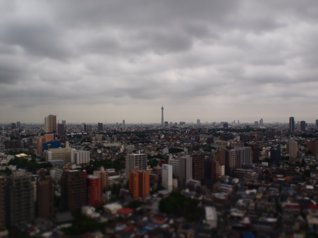 タワー(105)
