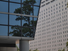 ariake
