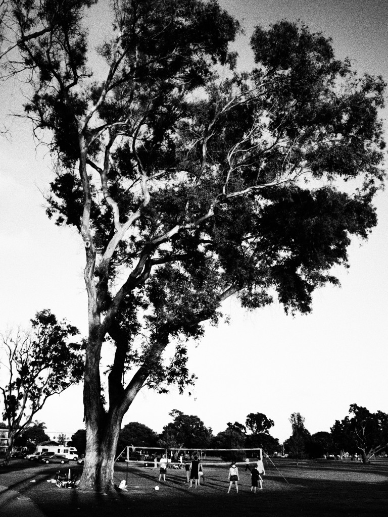 P8292084