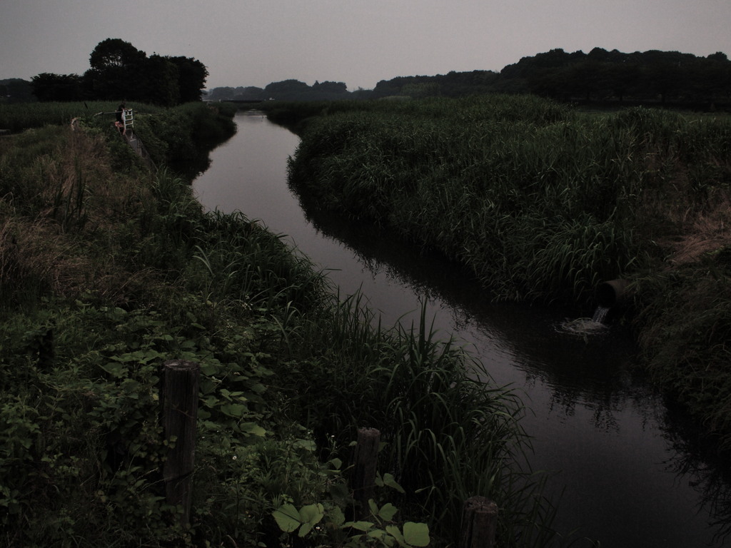 それでも