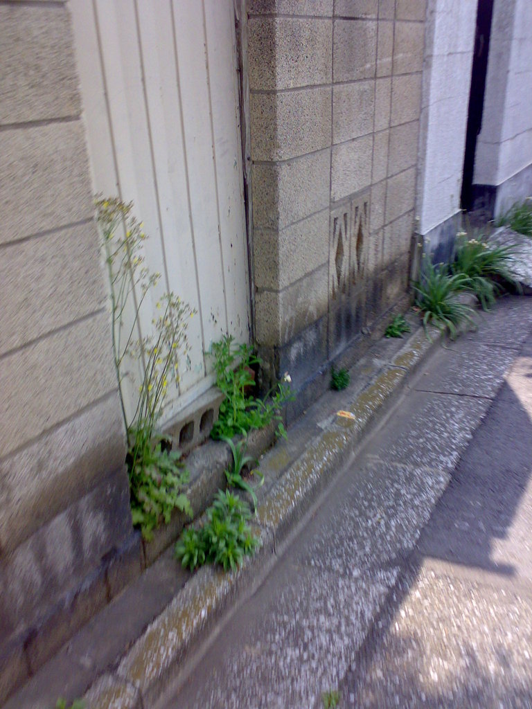 道端で(1)