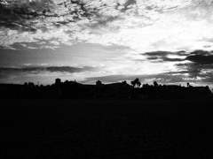P8261999